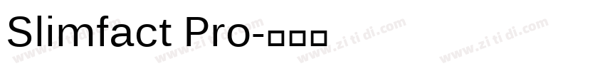 Slimfact Pro字体转换